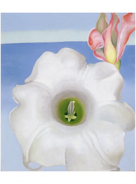 欧姬芙油画手绘临摹O'Keeffe贝拉·唐娜和粉红色姜芽玄关装饰画