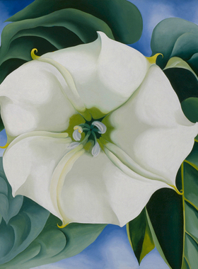 Georgia O'Keeffe欧姬芙油画曼陀罗花卉装饰画手绘复制品欣美画店