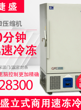 捷盛速冻超低温商用风冷立式冰柜