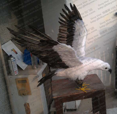 老鹰丐帮隼道具定做羽毛