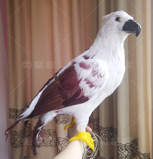 收拢翅膀型 隼 老鹰 丐帮隼 cosplay道具模型定做