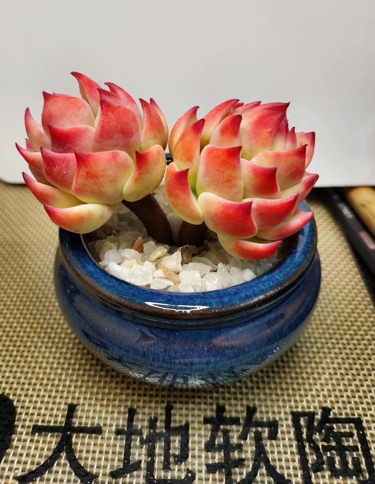 大地软陶闺蜜情侣礼品摆件手工仿真多肉植物森系双头花卉带盆热卖