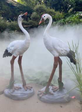 家居花园林装修饰摆件仿真动物雕塑仙白鹤丹顶假山水池造景玻璃钢