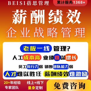 企业战略管理规划地图薪酬设计绩效考核全案制度财务分析落地咨询