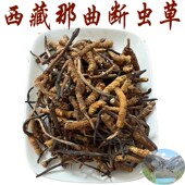 西藏那曲虫草 包邮 断草 冬虫夏草纯野生 草 西藏直发 正品 断草5克