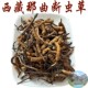 断草5克 冬虫夏草纯野生 包邮 西藏直发 西藏那曲虫草 断草 正品 草