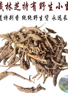 西藏直发50克包邮  西藏林芝野生当归   藏当归 小当归 纯野生