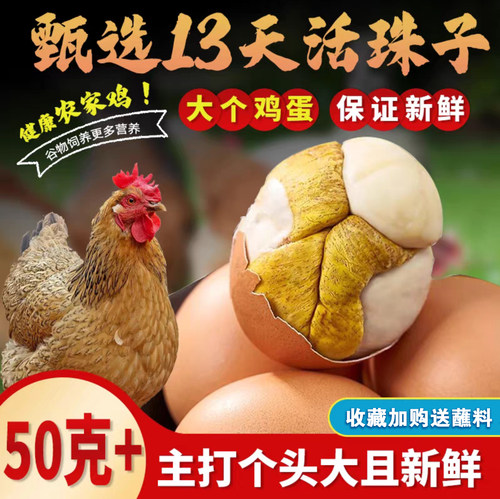 【红壳大蛋】单枚50克新鲜13天活珠子凤凰蛋熟五香香辣味非毛鸡蛋