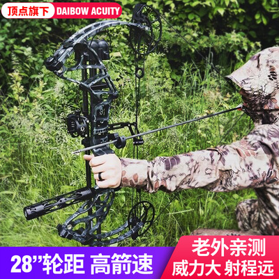 顶点旗下品牌DAIBOW ACUITY高速复合弓户外健身娱乐竞技弓箭套装