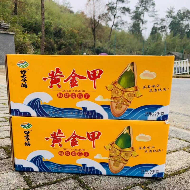 25年新货瓜子黄金甲南瓜子纸皮盐焗味瓜子净含量批发包邮一件代发