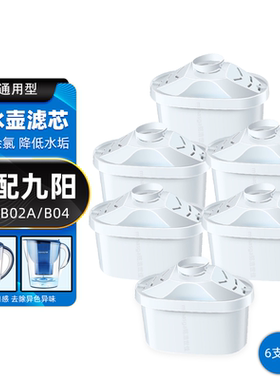 适配九阳净水壶滤水壶净水杯滤水器B02A/B04滤芯美的QC1651通用型