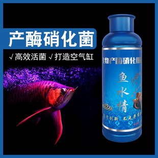 魚水情產(chǎn)酶硝化細(xì)菌生物凈化水質(zhì)降氨氮除亞硝酸鹽蛋白蟲消化活菌