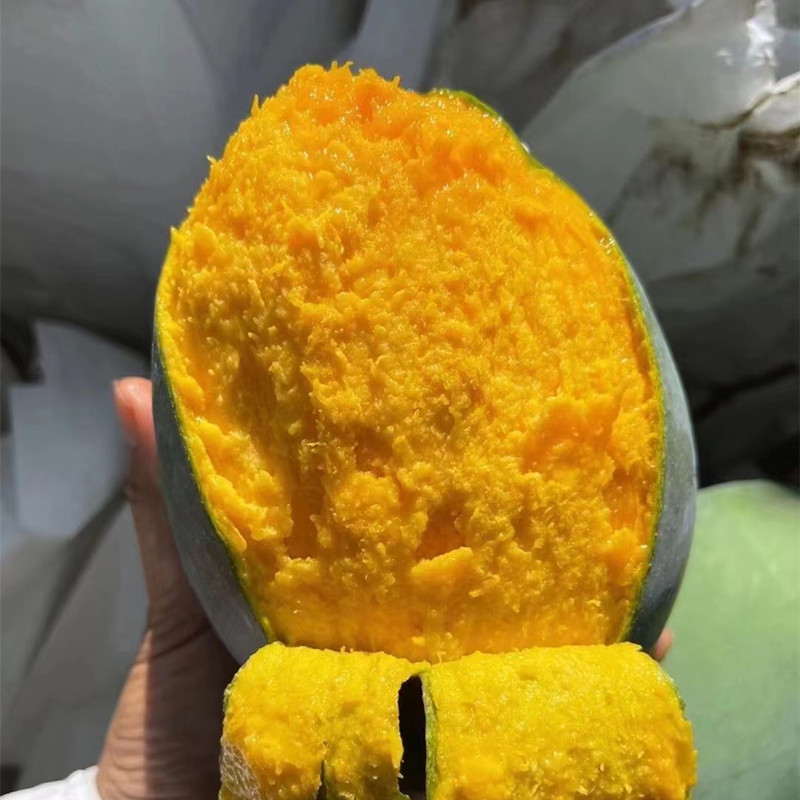 拒绝次果特级凯特大果攀枝花芒果