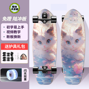 弘鹰陆地冲浪板滑板儿童初学者6到12岁成人女生专业弹簧桥免蹬地