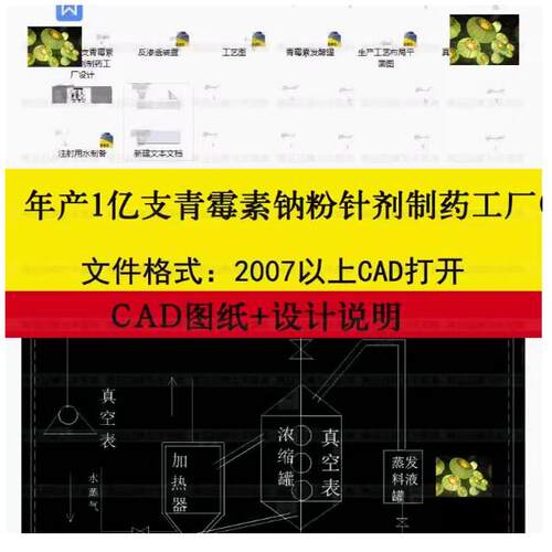 年产1亿支青霉素钠粉针剂制药工厂布局平图设计CAD图建筑设备布置
