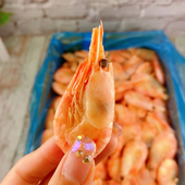 北极甜虾刺身北极虾黄腹籽即食北极熊冰虾海虾新鲜冷冻国产整箱