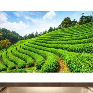 绿色护眼画茶山茶园背景图茶叶自粘画茶庄茶室茶楼自然风景画挂画