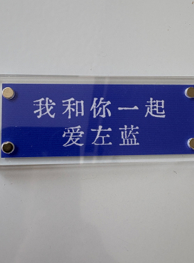 ”我和你一起爱左蓝“潜伏周边磁吸冰箱贴浪漫主义爱情余则成翠平