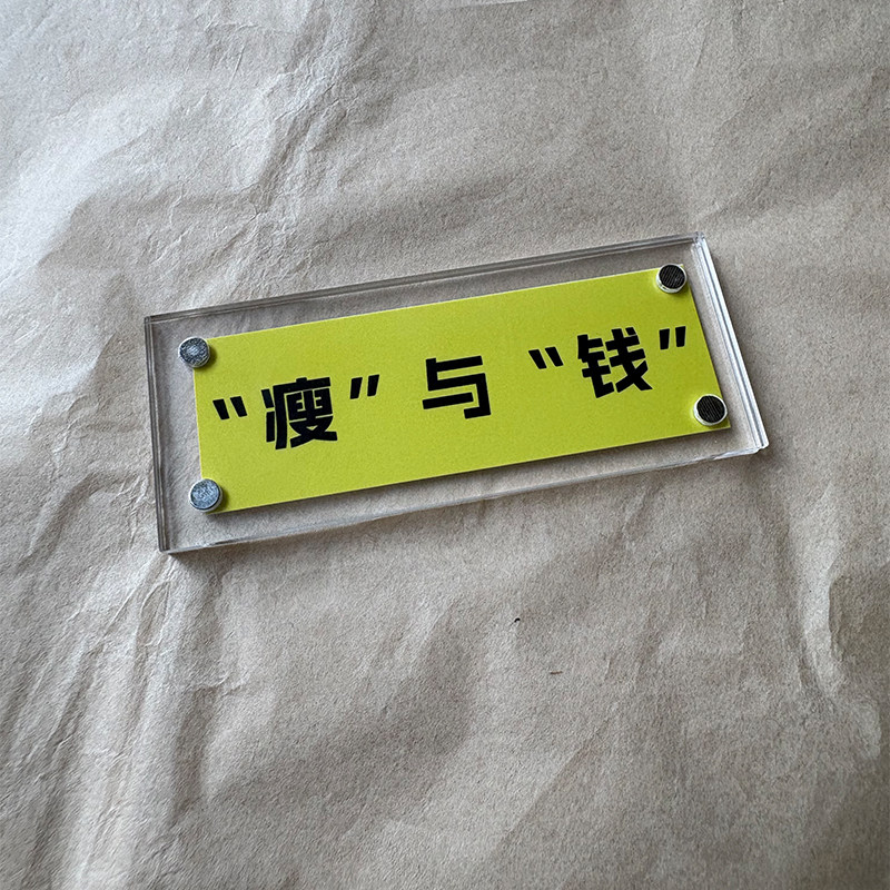 瘦与钱 哪个女生不想要这个礼物呢 趣味治愈系冰箱贴 家居装饰品