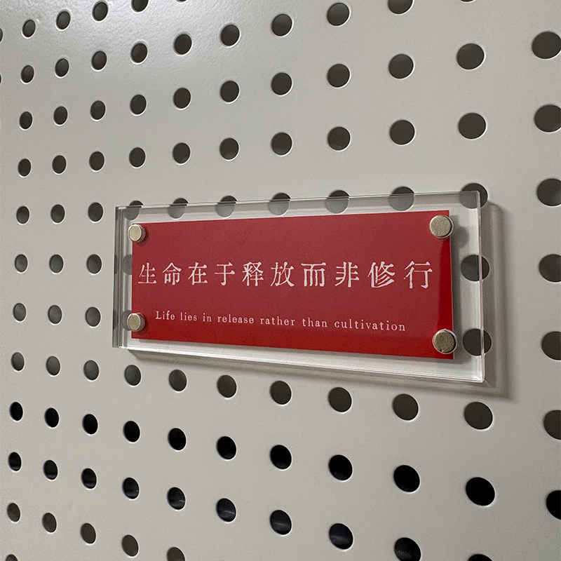 生命在于释放而非修行 治愈系人间清醒语录 冰箱贴 装饰贴