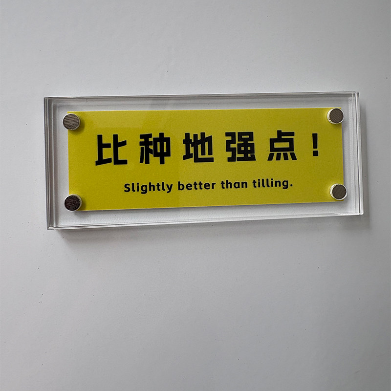 比种地强点 稀奇古怪有趣的小玩意 冰箱贴 工位摆件装饰品