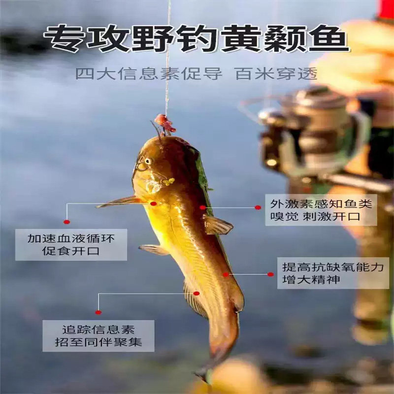 野钓黄颡鱼小药专钓黄辣丁添加剂鱼饵添加剂