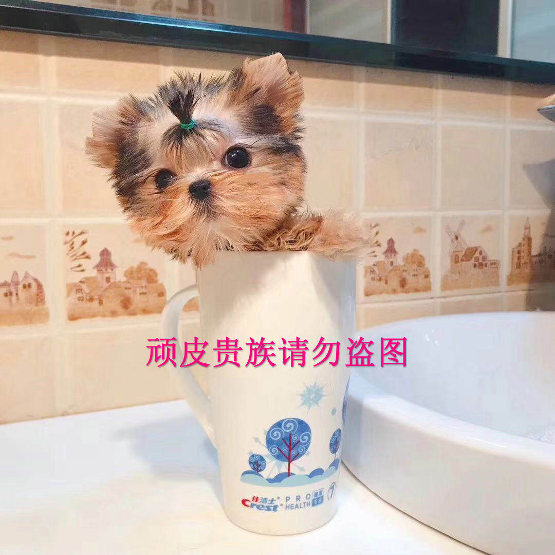 网友分享在meiguo.com的图片