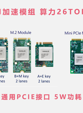AI算力机器视觉无人机监控视频图像分析边缘计算加速Hailo-8NPU卡