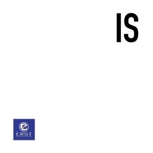 V40 (2013-2018) 进气套件 ERST沃尔沃