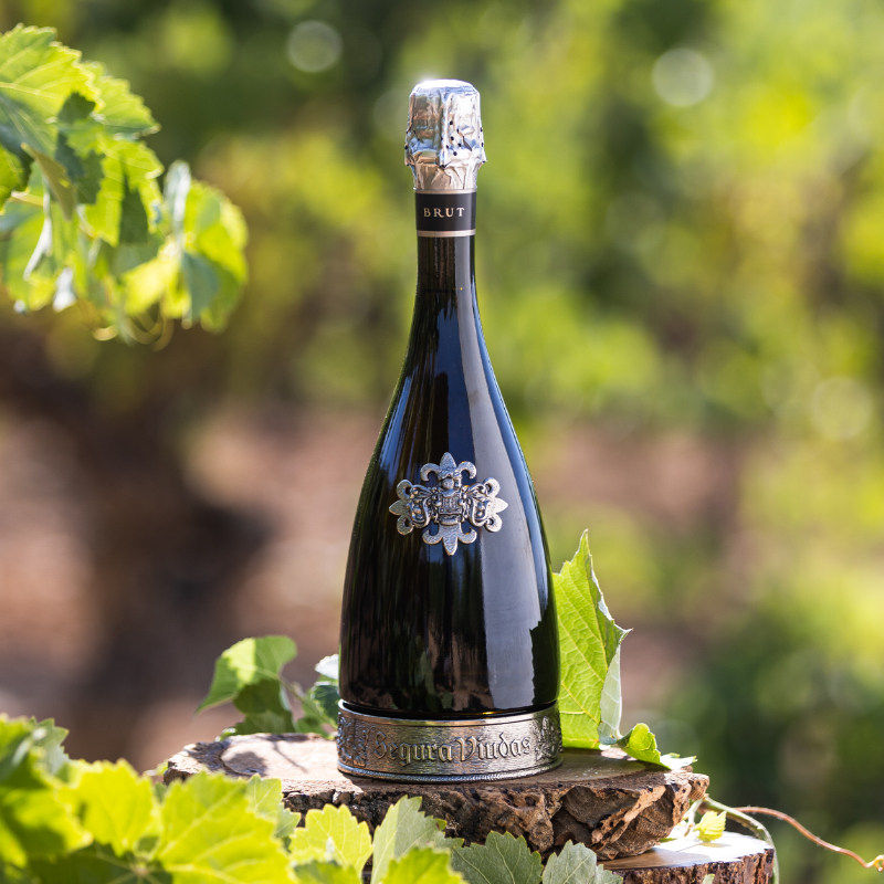 SeguraViudas高颜值Cava西班牙维达斯珍藏卡瓦干型气泡起泡葡萄酒