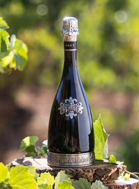 SeguraViudas高颜值Cava西班牙维达斯珍藏卡瓦干型气泡起泡葡萄酒