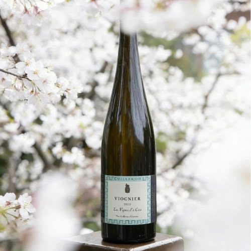 Yves Cuilleron古月龙 Viognier Les Vignes 维奥涅白葡萄酒 2023