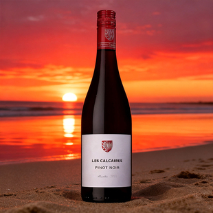 入门勃艮第平替 法国卢瓦尔河谢尼酒庄石灰岩黑皮诺干红葡萄酒