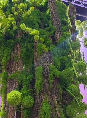 仿真苔藓假青苔丛林仿生草皮造景丝线植被diy假草皮草坪花盆铺面