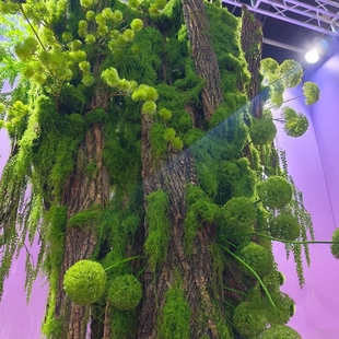 仿真苔藓假青苔丛林仿生草皮造景丝线植被diy假草皮草坪花盆铺面