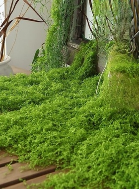 仿真丛林苔藓假青苔仿生草皮造景丝线仿真植被假草皮草坪花盆铺面