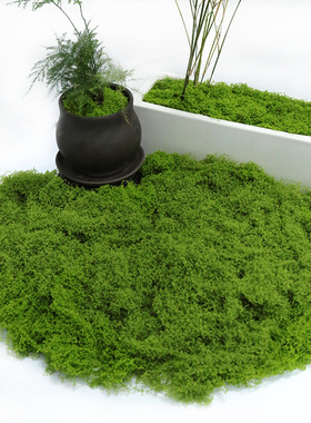 仿真苔藓假草皮草坪青苔
