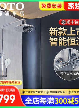 TOTO恒温淋浴花洒TBW07403C/07404/07411C冲澡沐浴喷头套装 (05-L