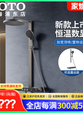 TOTO恒温淋浴花洒套装枪灰色沐浴花洒TBW12480  TBV10420(05-K)