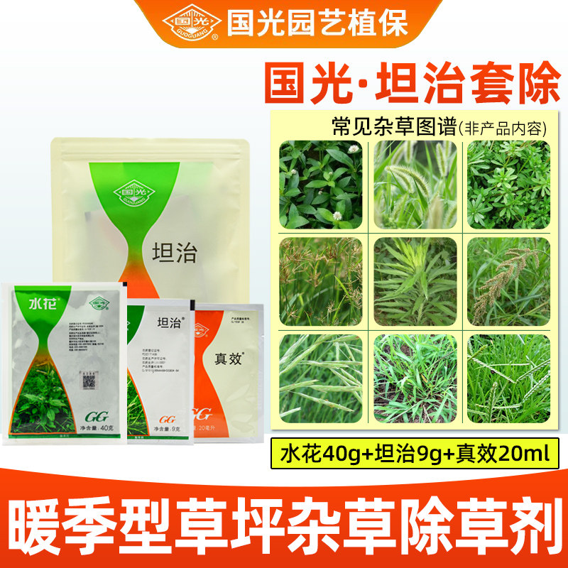 国光坦治结缕草狗牙根水花生禾本科暖季型杂草防除草坪除草剂套餐