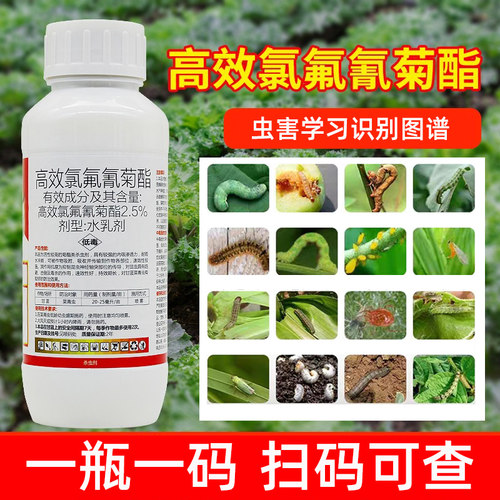 高效氟氯氰菊酯菜青虫蔬菜杀虫剂