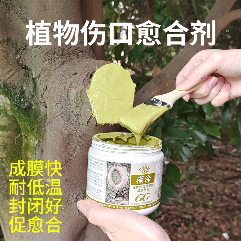 国光糊涂愈伤涂膜剂涂抹剂树木伤口愈合剂盆景大树果树苗木伤愈膏高性价比高么？