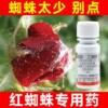 红蜘蛛专用杀虫剂虫卵双杀联肼乙螨唑特柑橘果树效农药