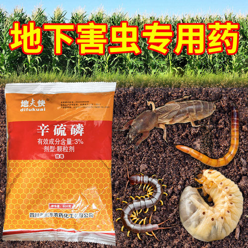 辛硫磷地下害虫杀虫剂施撒型