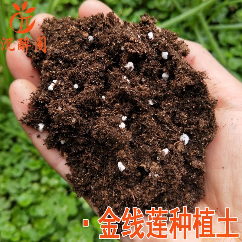 种植土基质多肉松树皮