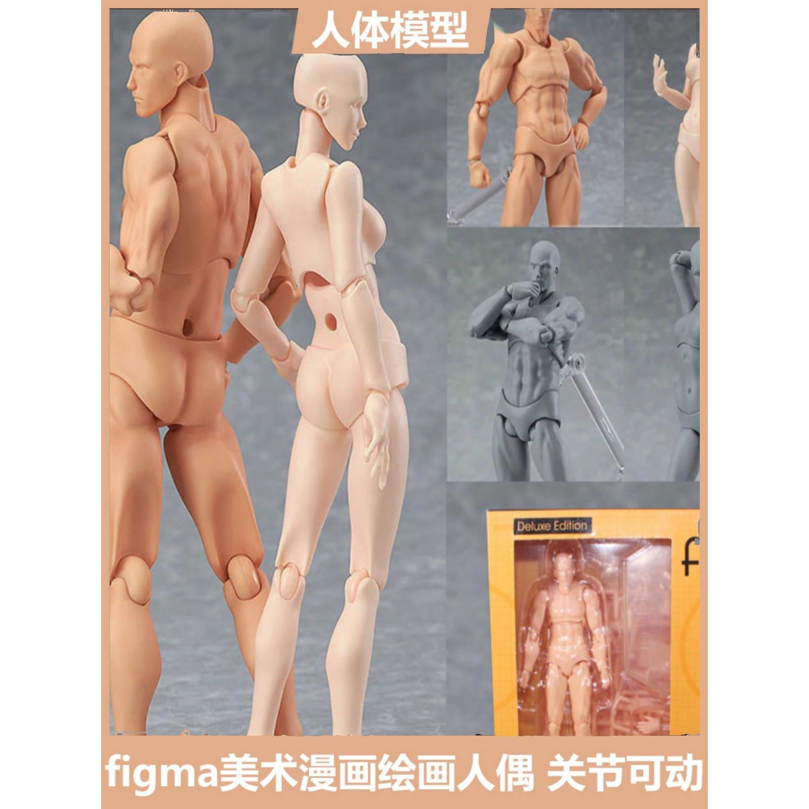 figma素体美术人体模型玩具日本人偶关节可动成人绘画肌肉shf素体