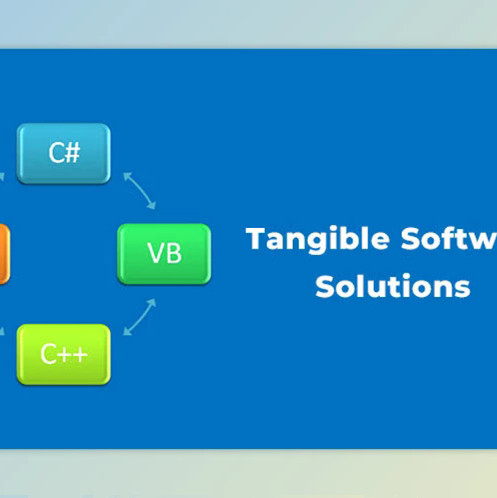Tangible Software Source Code Converters v2024.09