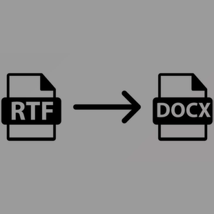 DOCX 永久 SubSystems for .Net v11.0 RTF Converter