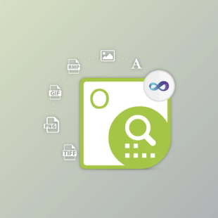 v25.2.0 Aspose.OCR for .NET 本 支持多版