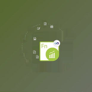 v24.12.0 Aspose.Finance for .NET 本 支持多版